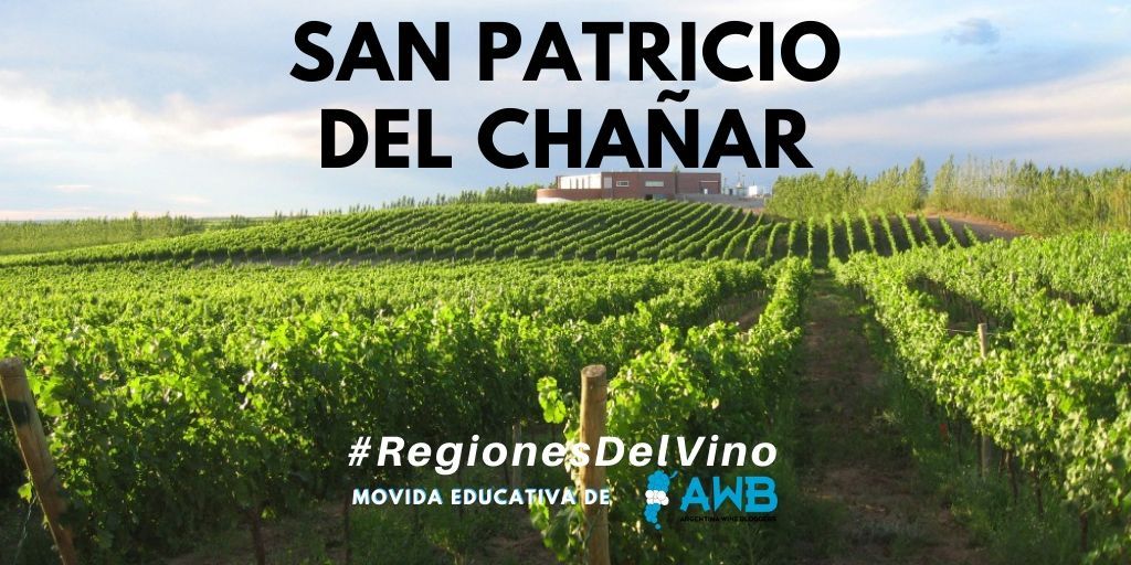 #RegionesDelVino - San Patricio del Chañar