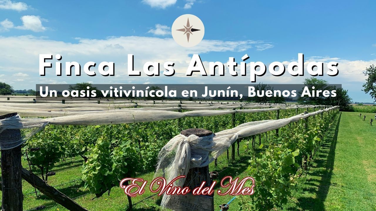 Finca Las Antípodas