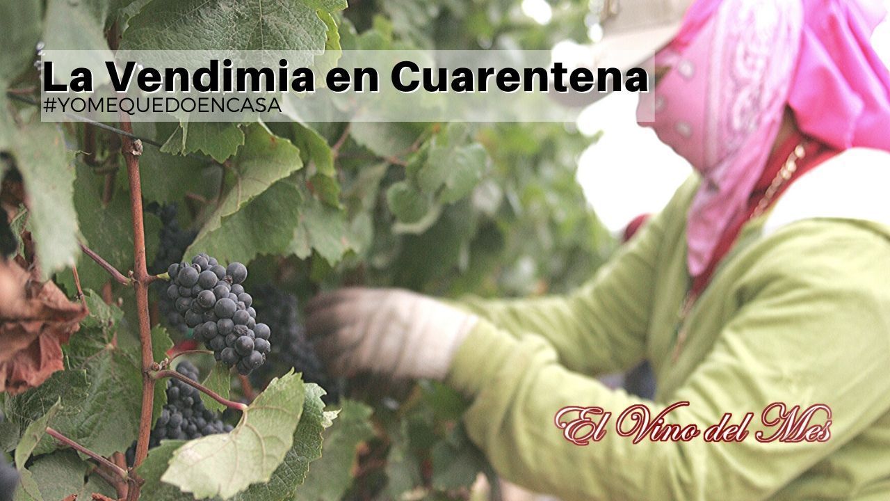 La Vendimia en Cuarentena
