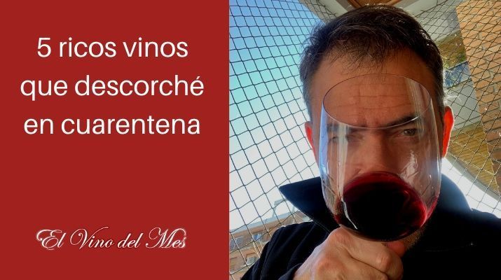 5 ricos vinos que descorché en cuarentena