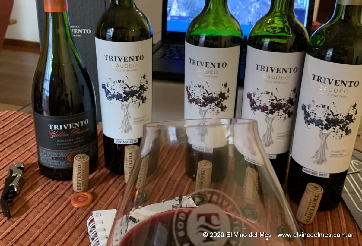 Trivento Gaudeo con Germán Di Cesare