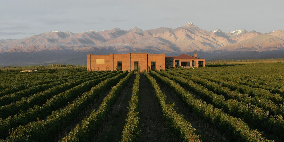 Bodega Andeluna