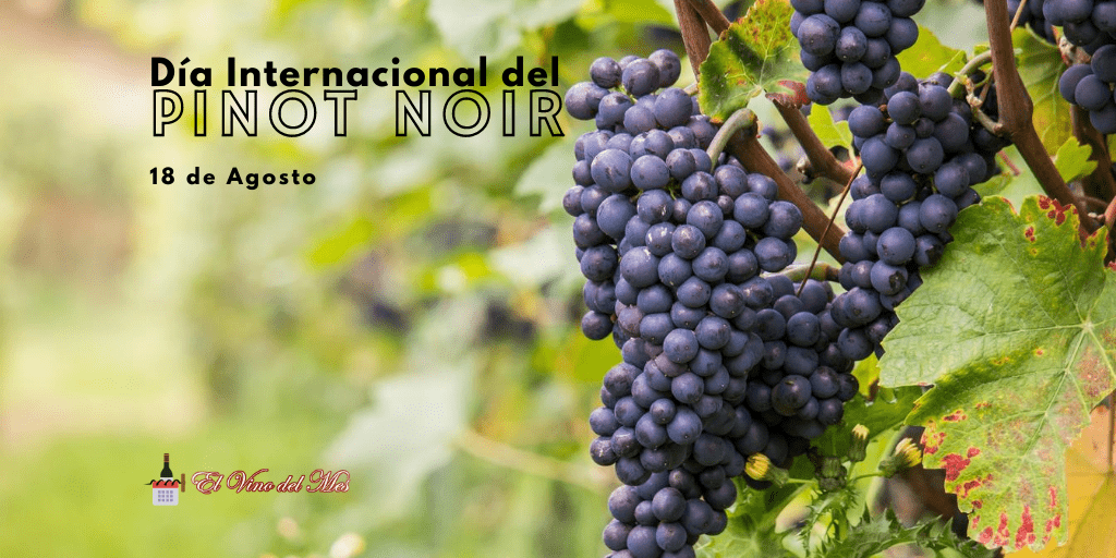 Dia Internacional del Pinot Noir