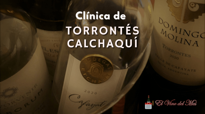 Clínica de Torrontés Calchaquí