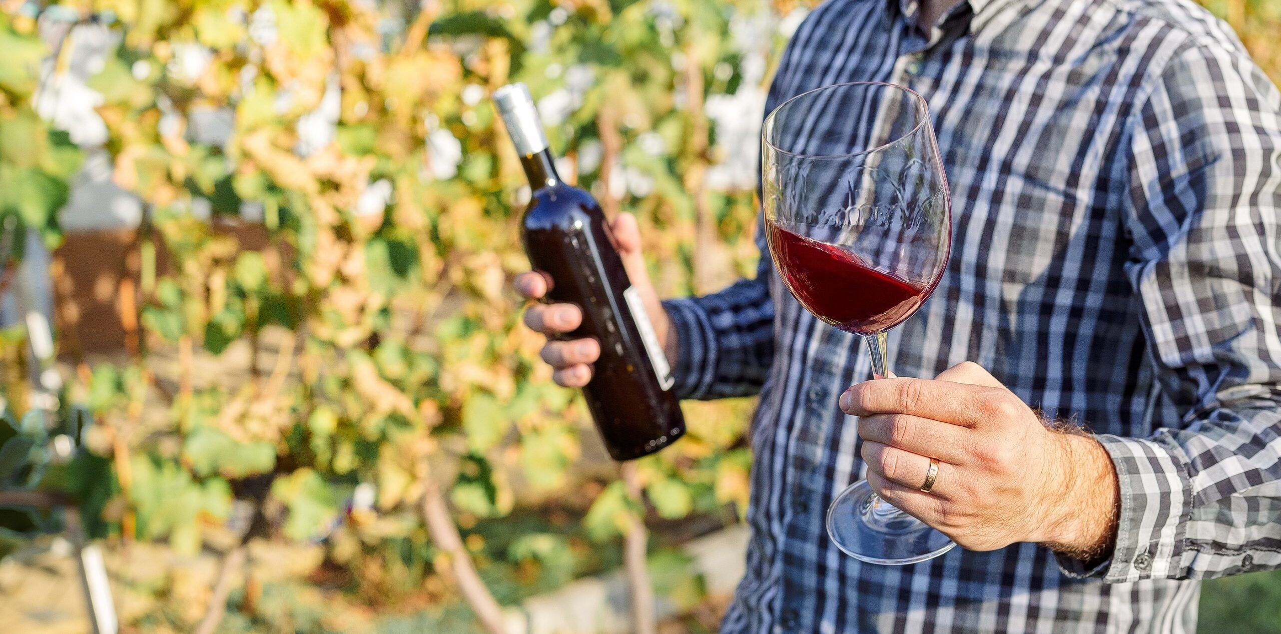 El vino como negocio
