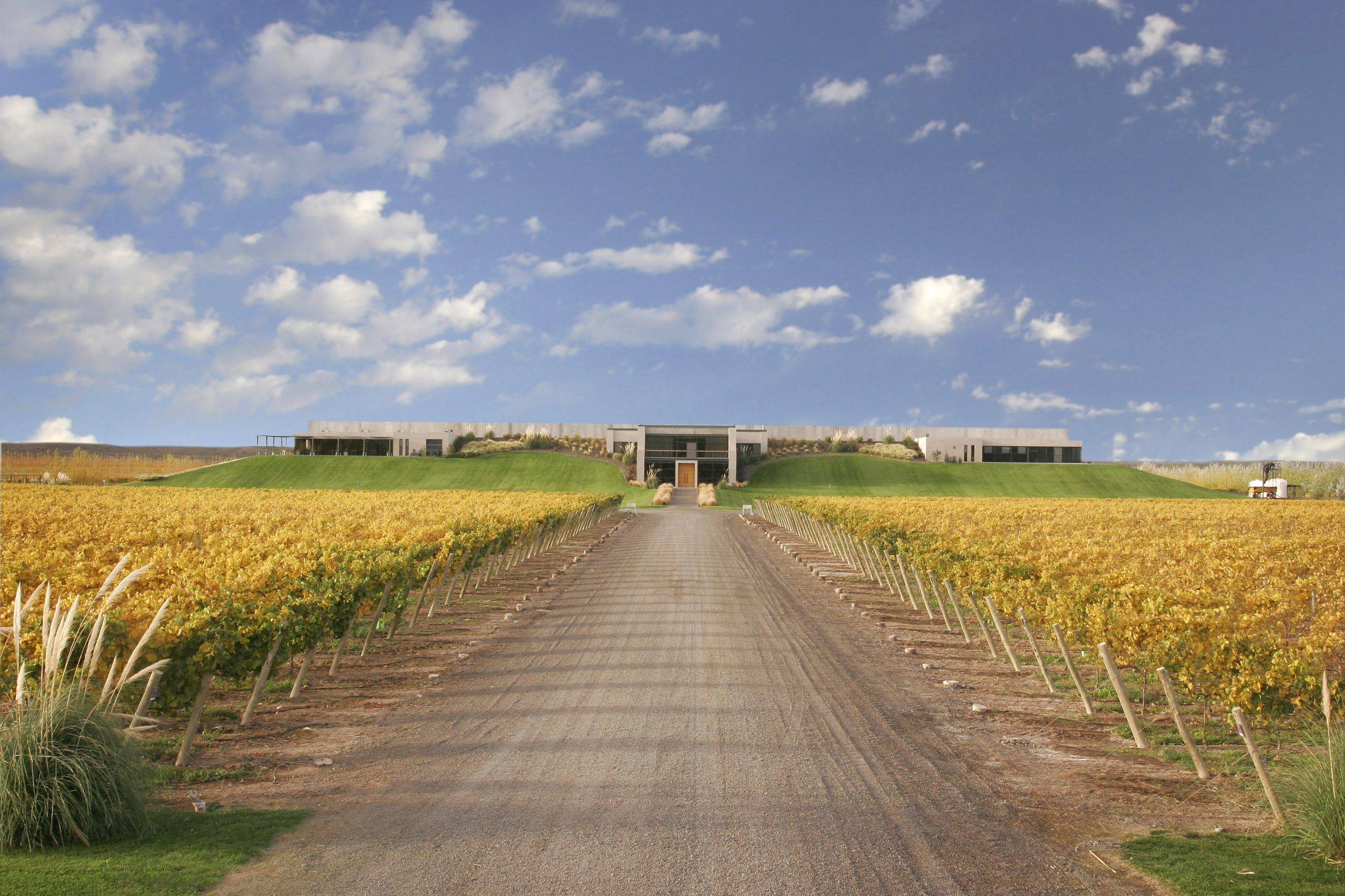 Bodega Malma