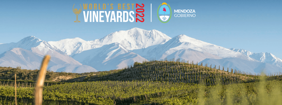 World's Best Vineyars