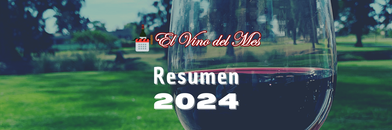 Resumen de los Mejores Vinos del 2024