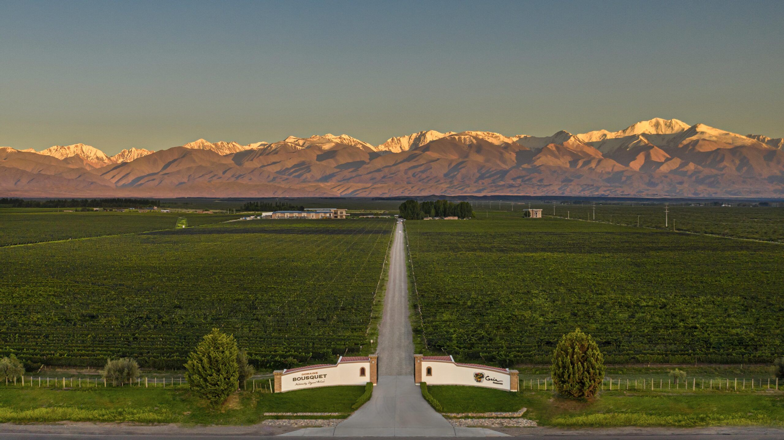 Experiencia Gaia Domaine Bousquet