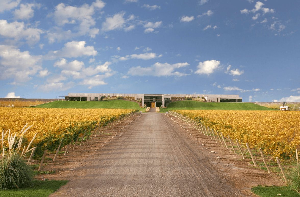 Bodega Malma Vitivinicultura Argentina Sostenible
