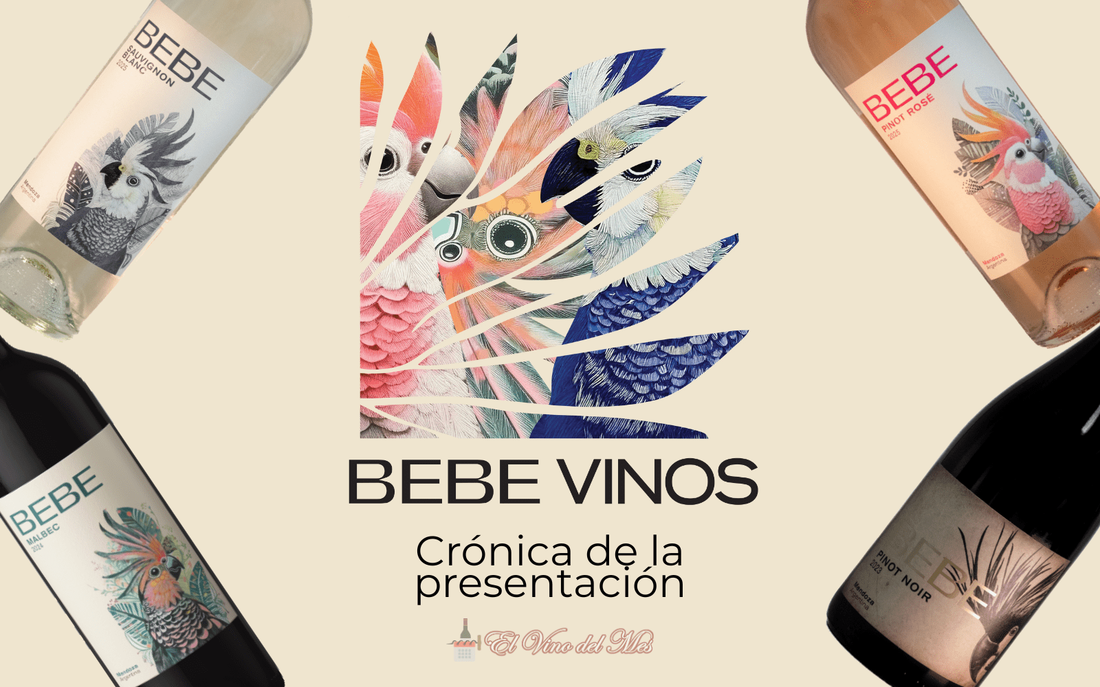 elvinodelmes - BEBE Vinos - Bebe Contepomi
