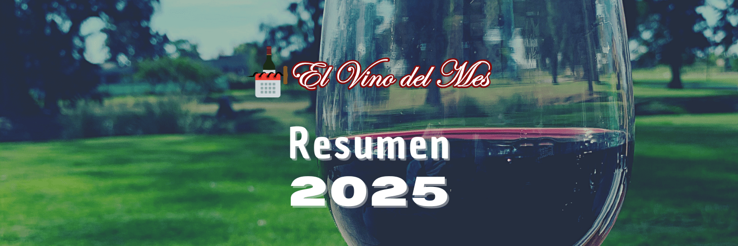 Resumen 2025 El Vino del Mes